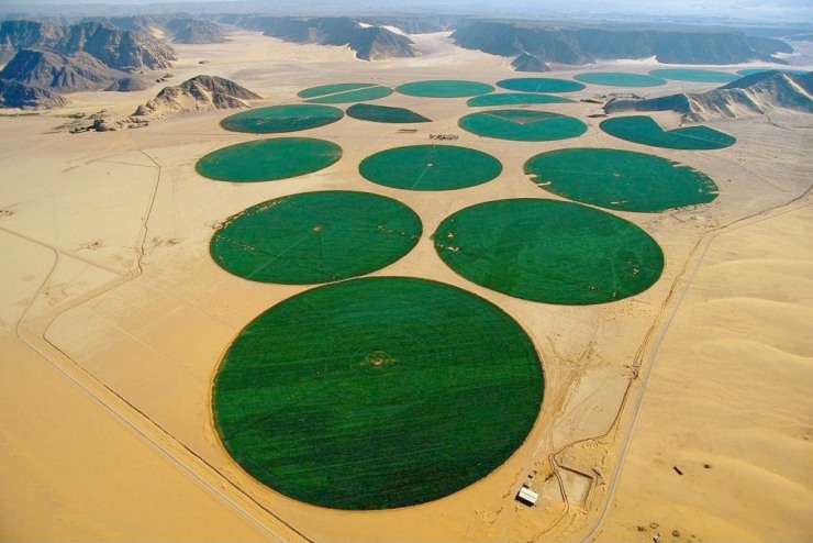 Libya Agriculture: Water Scarcity, Policy Reforms, and Pathways to Food Security