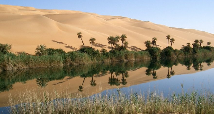 Libya Climate Resilience Project: IFAD and UNOPS Launch $9.2M RENEWAL Initiative