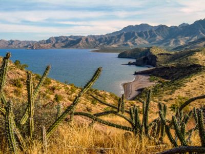 Libya Latin America Diplomacy: A New Strategic Outreach Beyond Europe and the Arab World